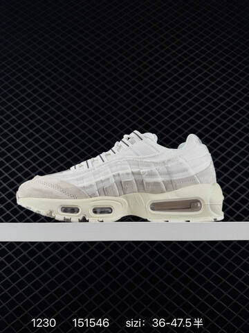 Nike Air Max 95 TT Black Anthracite EU 36-47 5 Lifestyle - Unisex (BS-73379)