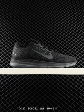 Other NikeZOOM WINFLO 5 Nike Zoom (BS-71947)