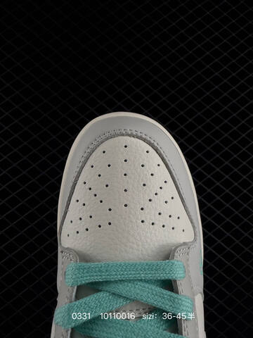 Nike SB Dunk Low Retro ZoomAir Lifestyle (BS-72356)