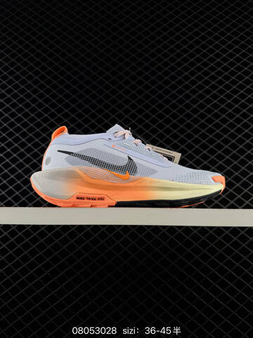 Nike Pegasus Trail 5 GORE-TEX Light Grey Orange Cream Black EU 36-45 Unisex BS-69938