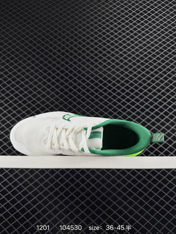 Nike Pegasus ZoomX Plus CK4318-018 White Black Grey EU 36-45 Running - Unisex (BS-73897)