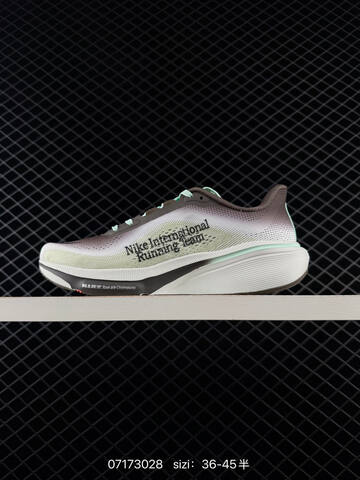 Nike Air Zoom Pegasus 42 Brown White Mint Green Black EU 36-45 Running - Unisex (BS-70201)