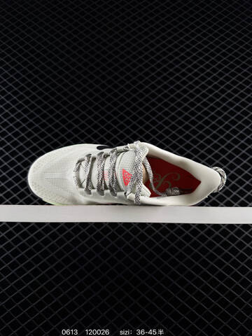 Nike REACTX PEGASUS TRAIL 6 HV812 Lifestyle (BS-70810)