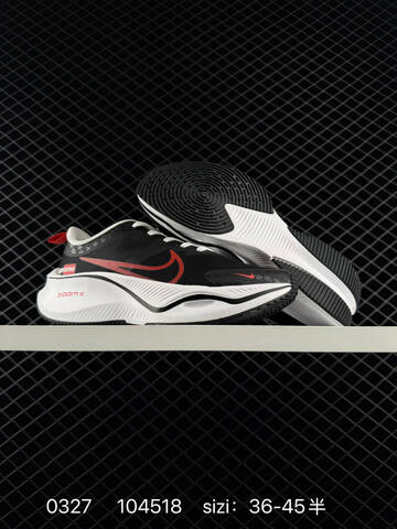 Nike Pegasus ZoomX Plus CK4318-018 Lifestyle (BS-72436)