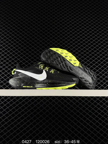 NIKE TRAIL ATC NIK PEGASUS GTX FQ0908 (BS-71841)