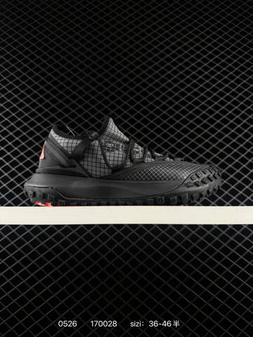 NIKE ACG MOUNTAIN FLY GTX Lifestyle (BS-71198)