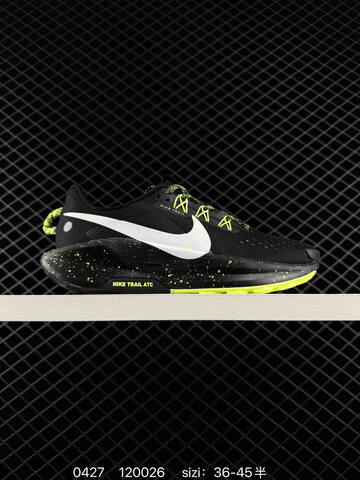 NIKE TRAIL ATC NIK PEGASUS GTX FQ0908 (BS-71841)
