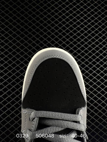 NIKE SB DUNK NIke Dunk Low Lifestyle (BS-72387)