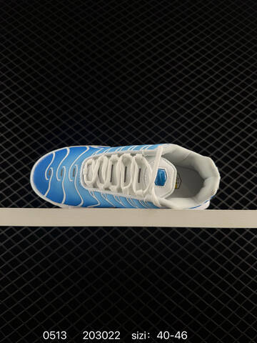 Nike Air MAX PLUS DM0032 003 36 37 5 38 39 40 41 42 43 44 45 46 20302 Lifestyle - Unisex (BS-71474)