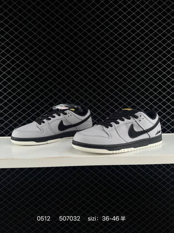 Nike 2021 EVA Air Zoom RB Nike SB Dunk Low Pro Pastoral Lifestyle (BS-71510)