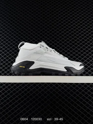 Nike ACG Mountain Fly GTX SE Light Grey Black White EU 39-45 Trail - Unisex BS-70994