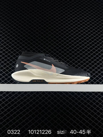 Nike Pegasus Trail 5 Gore-Tex Light Gray Cream Navy Pink EU 36-45 - Unisex (BS-72522)