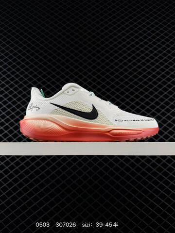 Nike Air Zoom Pegasus 41 Multi-color EU 39-45 5 Running - Unisex (BS-71696)
