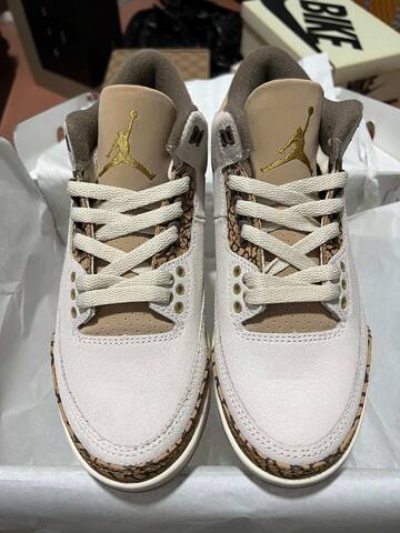 Jordan Air Jordan 3 Orewood Brown DM0967-102 White Brown Beige Cream Basketball Shoe (BS-87341)