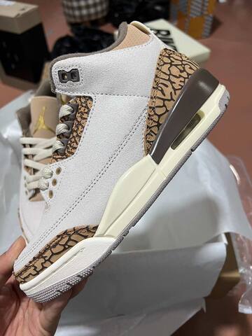 Jordan Air Jordan 3 Orewood Brown DM0967-102 White Brown Beige Cream Basketball Shoe (BS-87341)