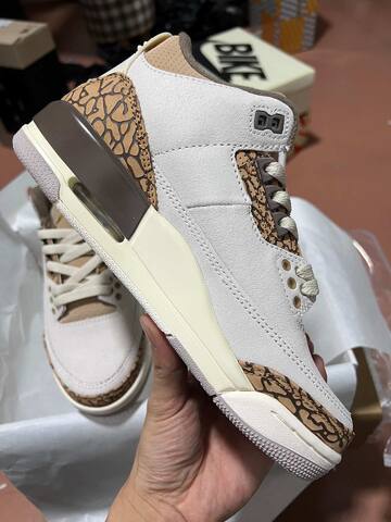 Jordan Air Jordan 3 Orewood Brown DM0967-102 White Brown Beige Cream Basketball Shoe (BS-87341)