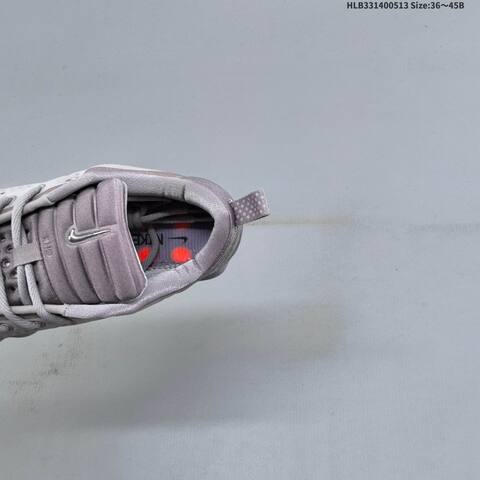 Nike HQ4318-003 Light Grey Metallic Silver EU 36-45 Running Shoe - Unisex (BS-60359)