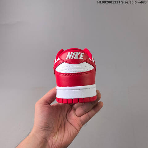 NIKE SB DUNK Nike Dunk SB Low Lifestyle (BS-62529)