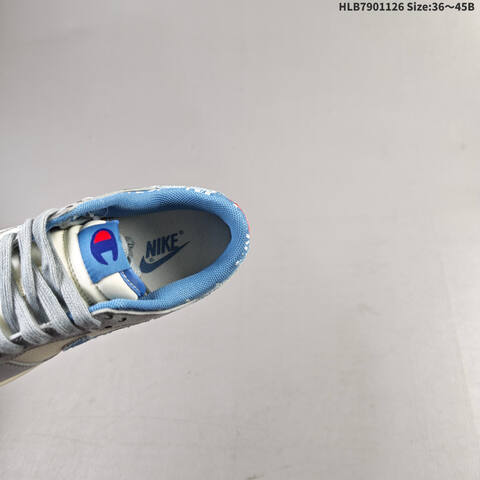 Nike SB Dunk Low Retro ZoomAir Lifestyle (BS-63062)
