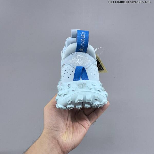 Nike Air Jordan 1 Low Element Gore-Tex light blue white blue EU 39-45 casual lifestyle
