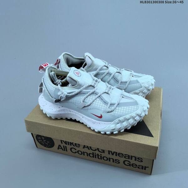 Nike ACG Mountain Fly Low GTX SE grey black blue green white red EU 36-45 trail shoe