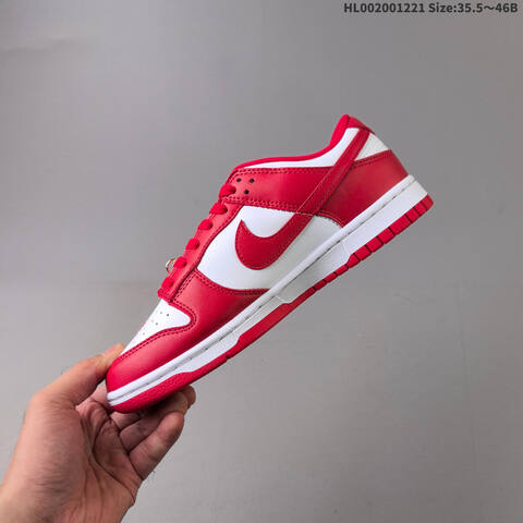 NIKE SB DUNK Nike Dunk SB Low Lifestyle (BS-62529)