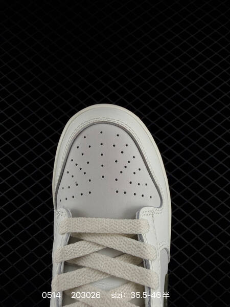 Nike Sb Dunk Low Pro lifestyle