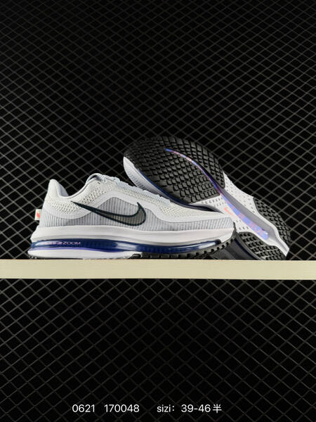 Nike Pegasus Premium Airscape grey white blue purple EU 39-46 running shoe