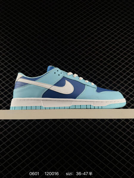 Nike Dunk Low Retro light blue dark blue white EU 36-47 skate
