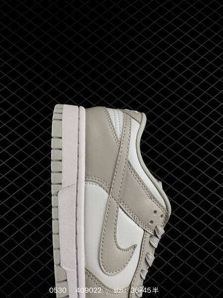 Nike Dunk Low white light grey EU 36-45 skate