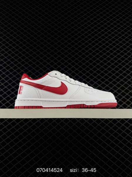 Nike Big Low 355152-106 white light blue black EU 36-45 skate