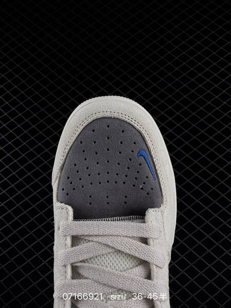 Nike SB Force 58 white grey blue EU 36-45 skate