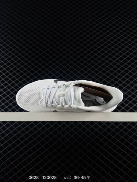 Nike Air Zoom Pegasus 42 white silver grey EU 36-45 running shoe