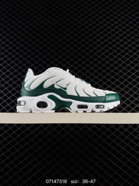 Nike Air Max Plus light blue white silver EU 36-47 running