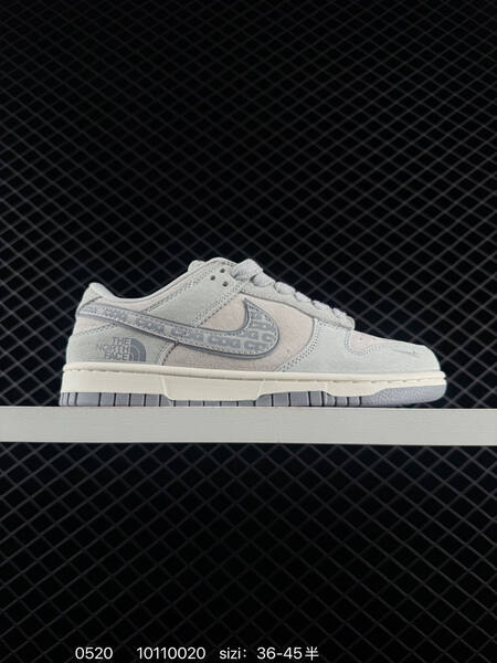 Nike SB Dunk Low light grey off white EU 36-45 skate