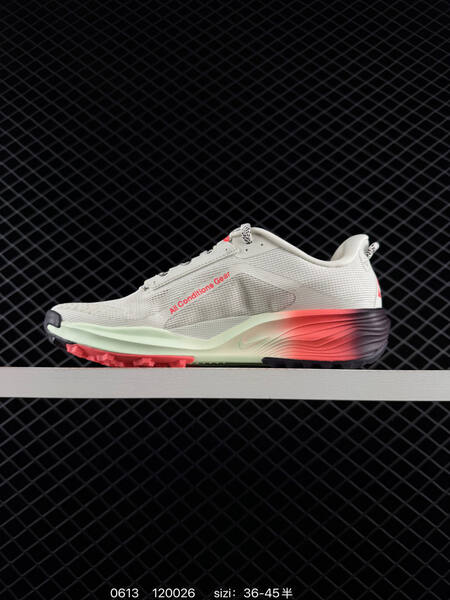 Nike REACTX PEGASUS TRAIL 6 HV812 lifestyle