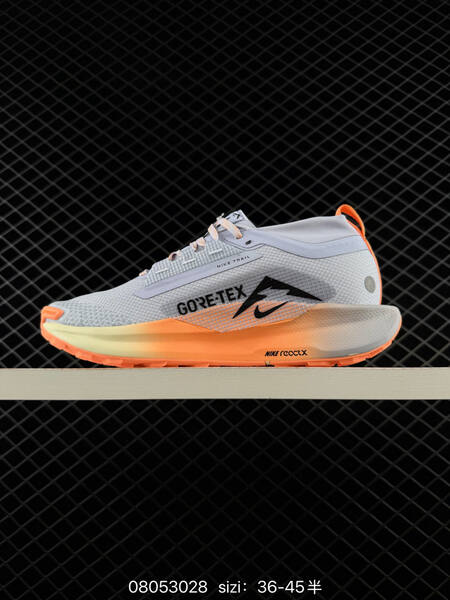 Nike Pegasus Trail 5 GORE-TEX light grey orange cream black EU 36-45