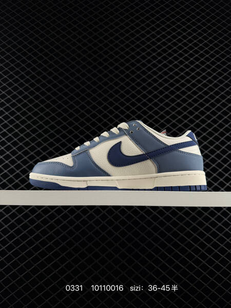Nike SB Dunk Low Retro ZoomAir lifestyle