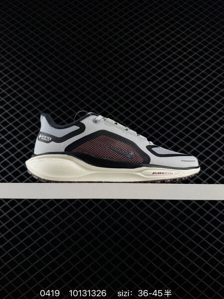 Nike Air Zoom Pegasus 41 GTX lifestyle