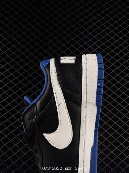 Nike Big Low 355152 black white blue EU 36-45 skate