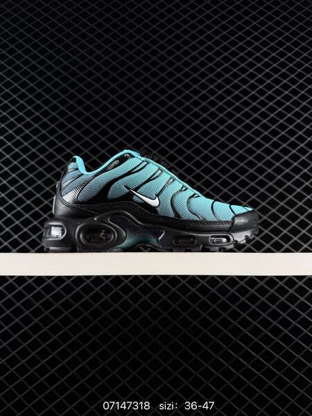 Nike Air Max Plus light blue white silver EU 36-47 running