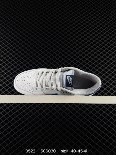 Nike Dunk Low white grey navy blue EU 40-45 skate