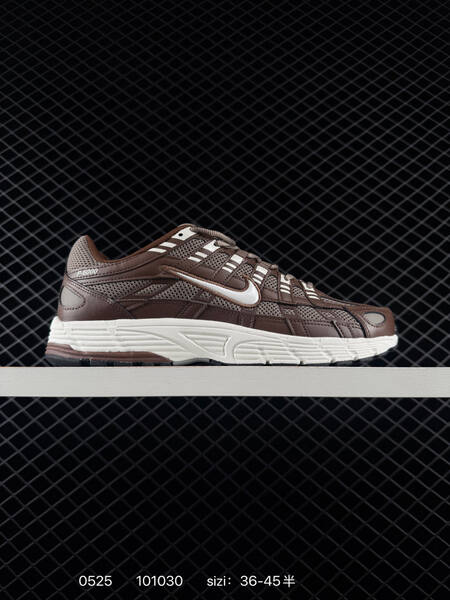 Nike P-6000 P-6000 Pegasus 25 Pegasus 2006 lifestyle
