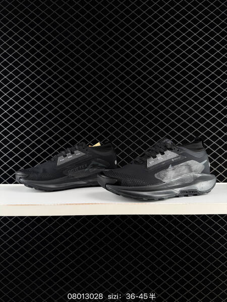 Nike REACTX PEGASUS TRAIL 5 GTX black dark grey EU 36-45