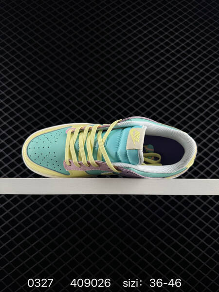 Nike SB Dunk Low ZoomAir lifestyle