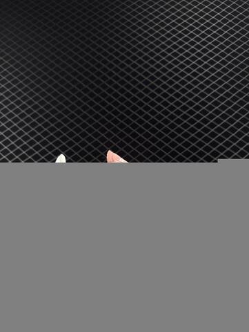 Adidas HANDBALL SPEZIAL Lifestyle (BS-78517)