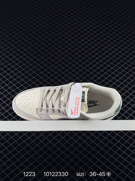 Nike Dunk Low Retro Sail Light Grey Green EU 36-45 5 casual Sail Light Grey Grey Green lifestyle