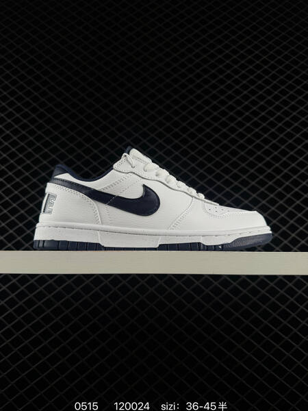Nike Big Low 355152 white navy red EU 36-45 skate