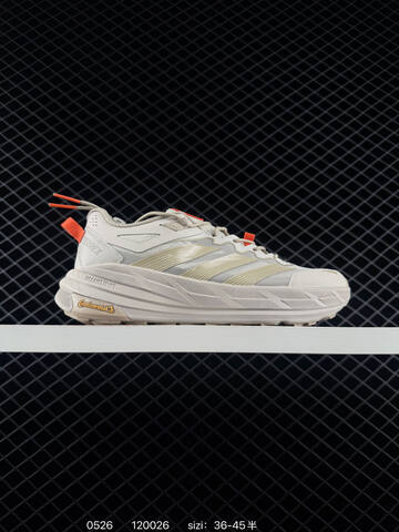 Other ADIDAS FREE HIKER SL GORE-TEX Adidas Terrex Lifestyle (BS-75491)