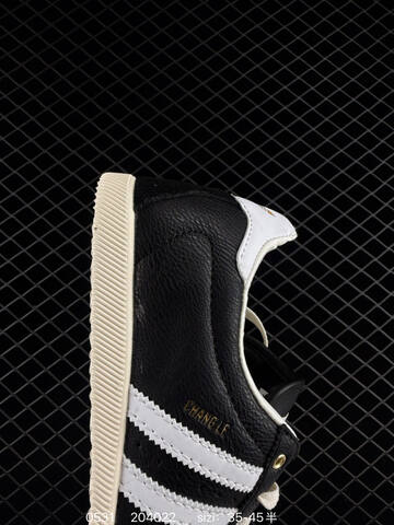 Other Adidas CHANGLE Lifestyle (BS-75430)